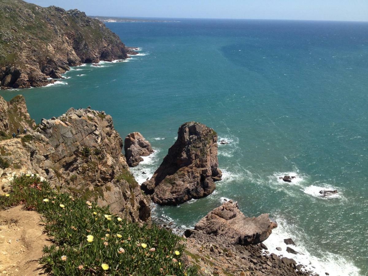 فيلا Sintra/Colares Beach House With Mountain View المظهر الخارجي الصورة